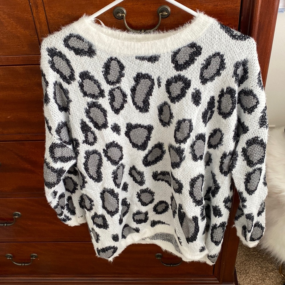 Altard State Cheetah Print Sweater